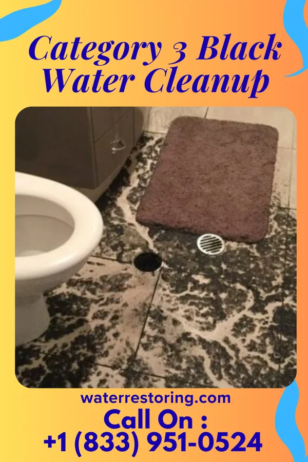 Category 3 Black Water Cleanup in Olga, FL