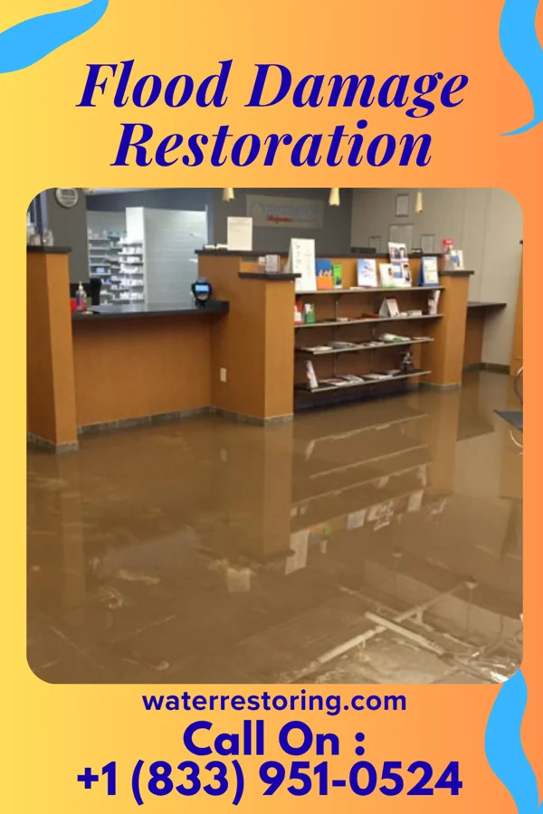 Flood Damage Restoration in Olga, FL
