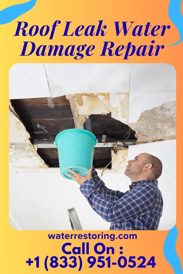 Roof Leak Water Damage Repair in Olga, FL