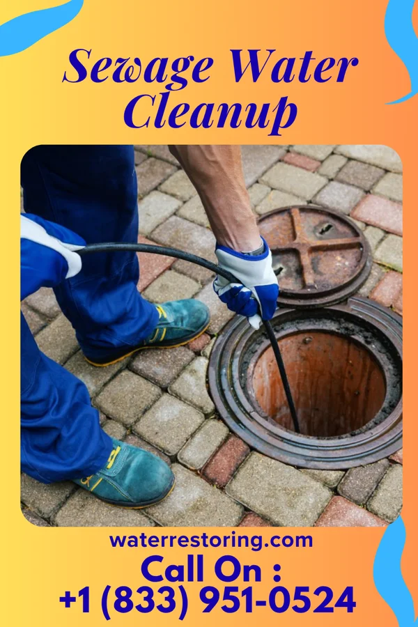 Sewage Water Cleanup in Olga, FL